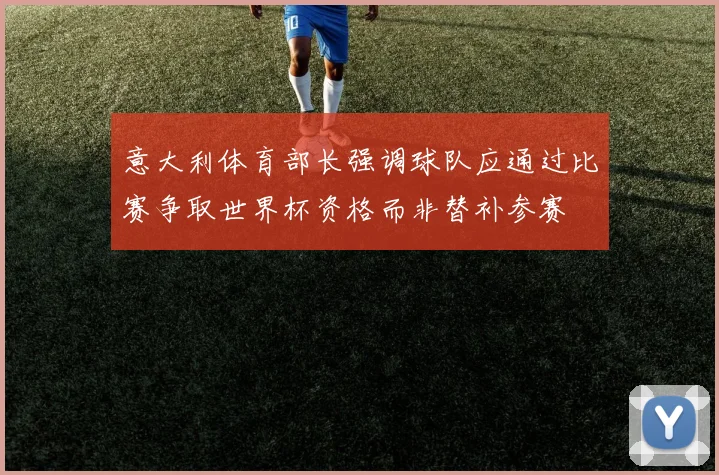 意大利体育部长强调球队应通过比赛争取世界杯资格而非替补参赛