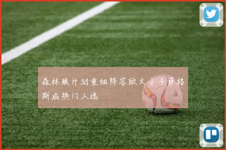 森林狼计划重组阵容欧文小卡萨格斯成热门人选