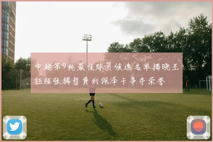 中超第9轮最佳球员候选名单揭晓王钰栋张稀哲费利佩泽卡争夺荣誉